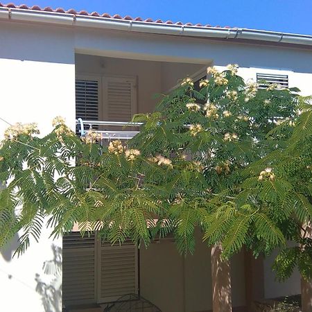 לון Apartments And Rooms Ljubica מראה חיצוני תמונה